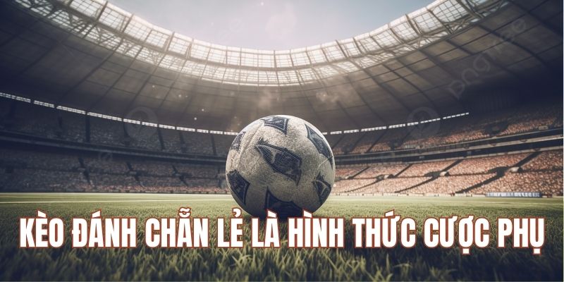 Kèo đánh chẵn lẻ là cược phụ nhưng thu hút người chơi