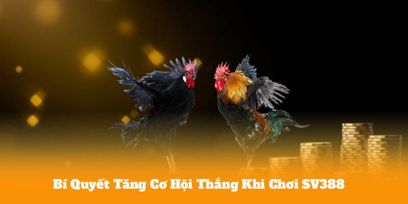 Bí Quyết Tăng Cơ Hội Thắng Khi Chơi SV388