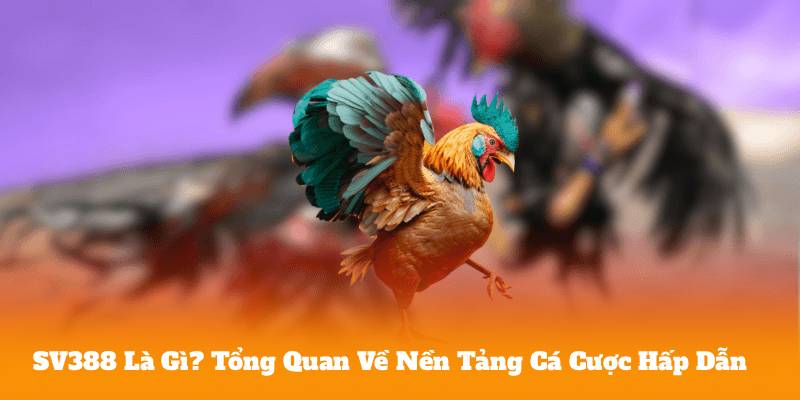 SV388 Là Gì? Tổng Quan Về Nền Tảng Cá Cược Hấp Dẫn