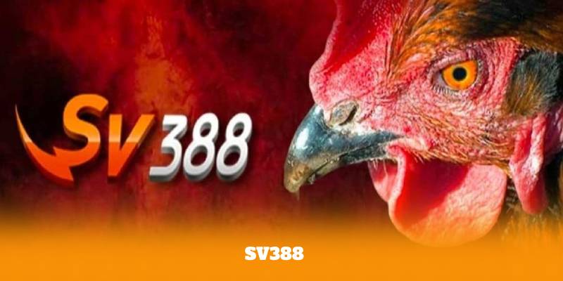 SV388 – Cách Đăng Ký Và Tham Gia Nhanh Chóng, An Toàn